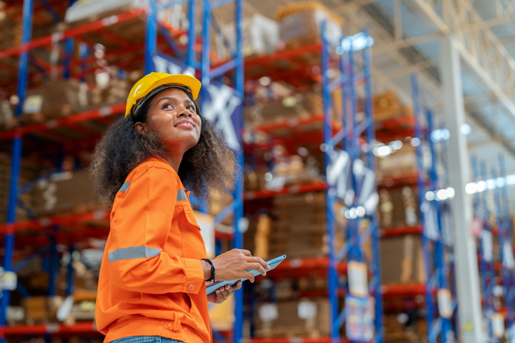 Tailored Cost-Effective Solutions