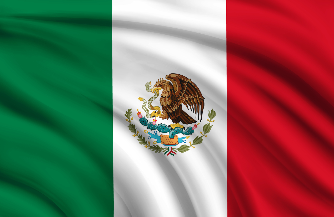Industrial Maritima De Veracruz SA De CV (Mexico)